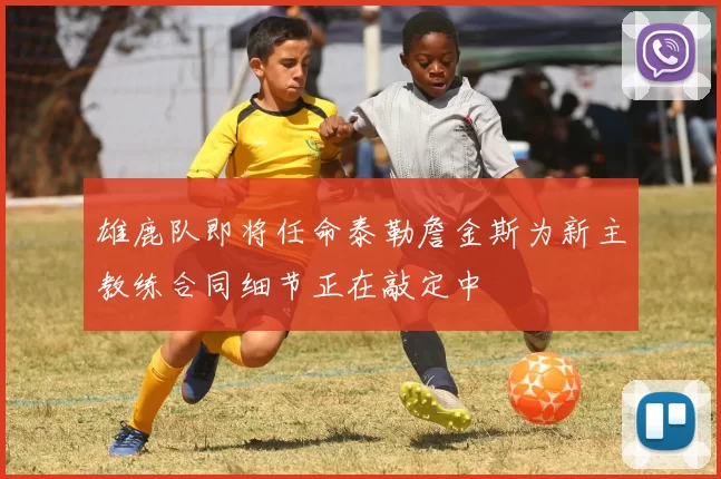 雄鹿队即将任命泰勒詹金斯为新主教练合同细节正在敲定中