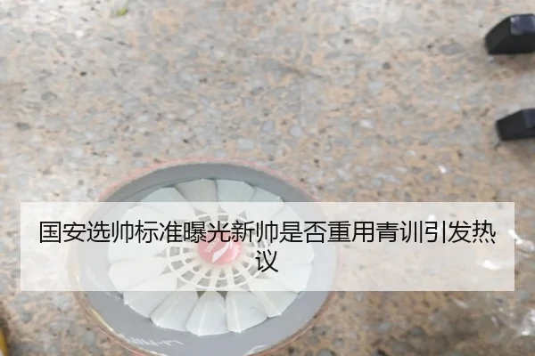 国安选帅标准曝光新帅是否重用青训引发热议(mk)